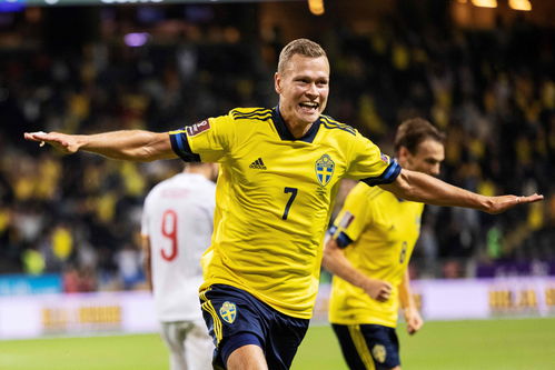 瑞典足球球星是谁（瑞典足球明星排名前十）