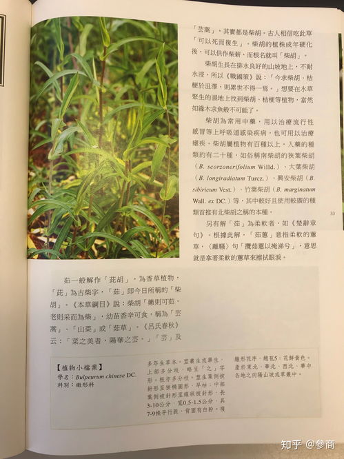 江西植物推荐书籍小说(江西常见植物大全)