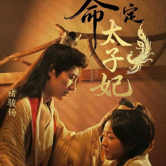 命定太子妃（63集）褚骏钖＆李海蒂 高清完整版