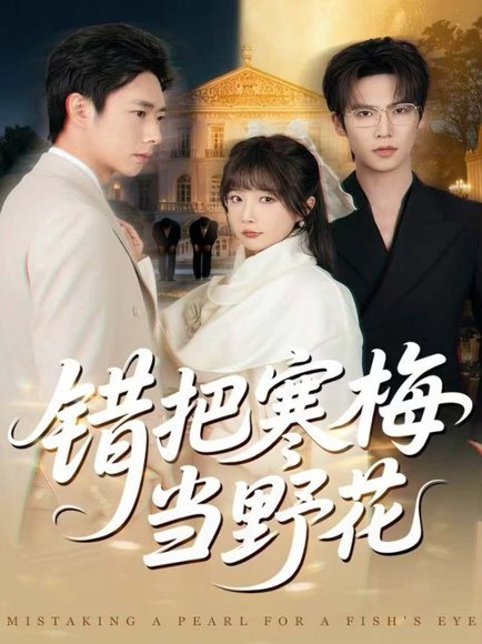 错把寒梅当野花（60集）于颢鑫＆王籽霖 高清完整版