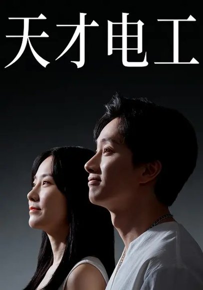 天才电工（33集） 高清完整版