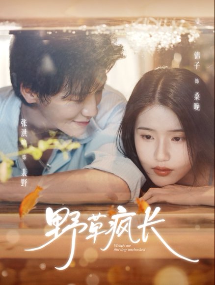 野草疯长（71集）张洪鸣＆锦子 高清完整版