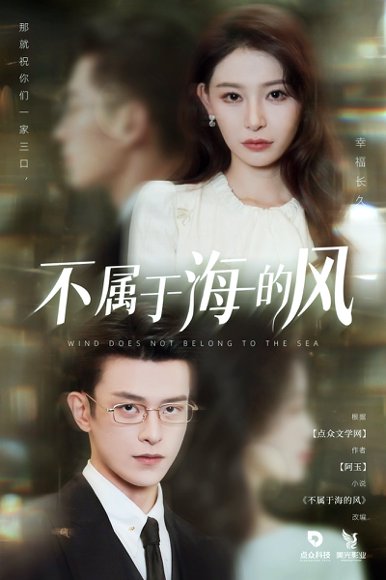 不属于海的风（40集）董炜&武伯言 高清完整版