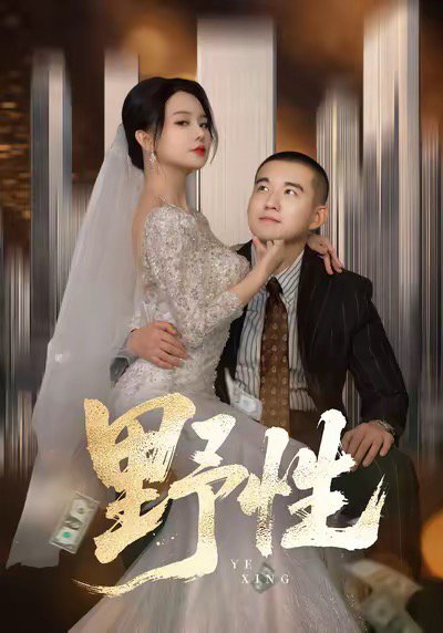 野性＆分手后，顶头上司要嫁我（70集）阎论＆梦露 高清完整版